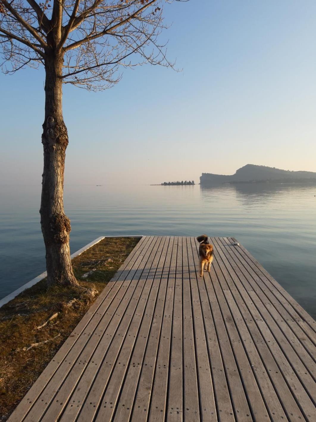 Casa Vacanze Gardiolina San Felice del Benaco Exteriör bild